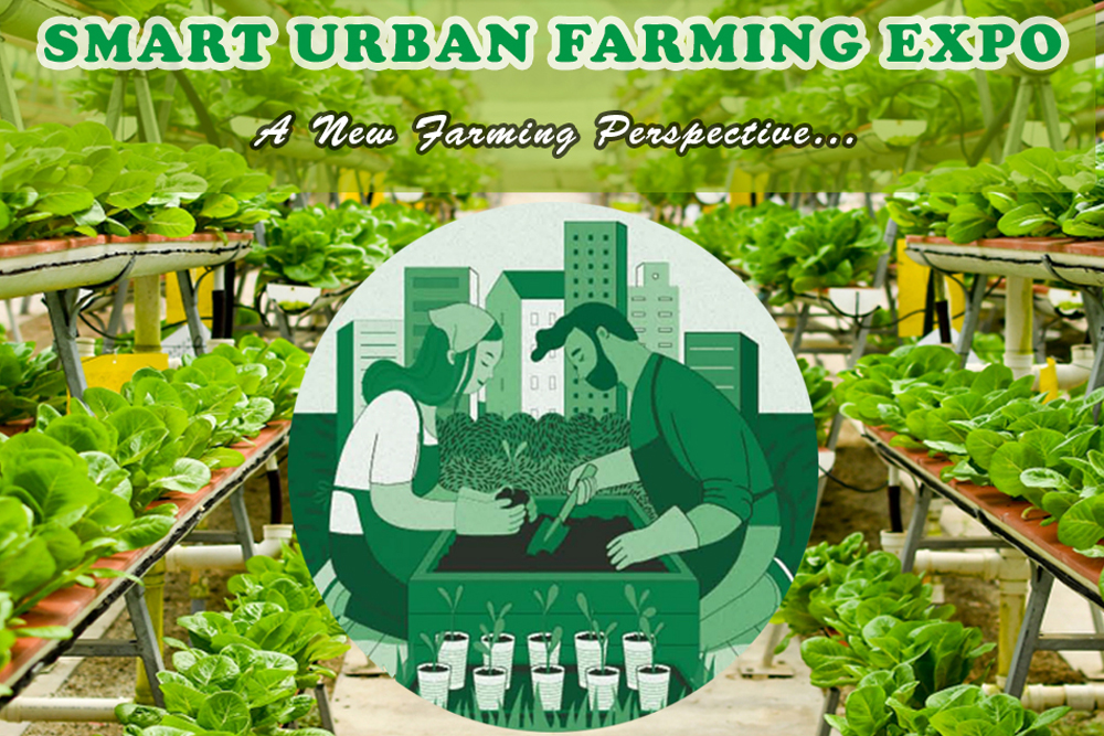 What are impacts of urban farming?