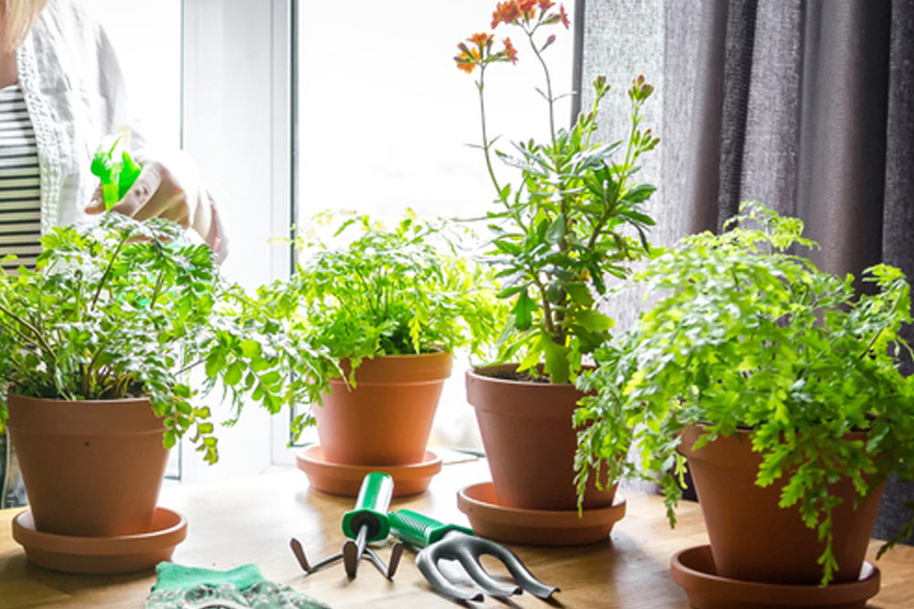 Smart Gardening